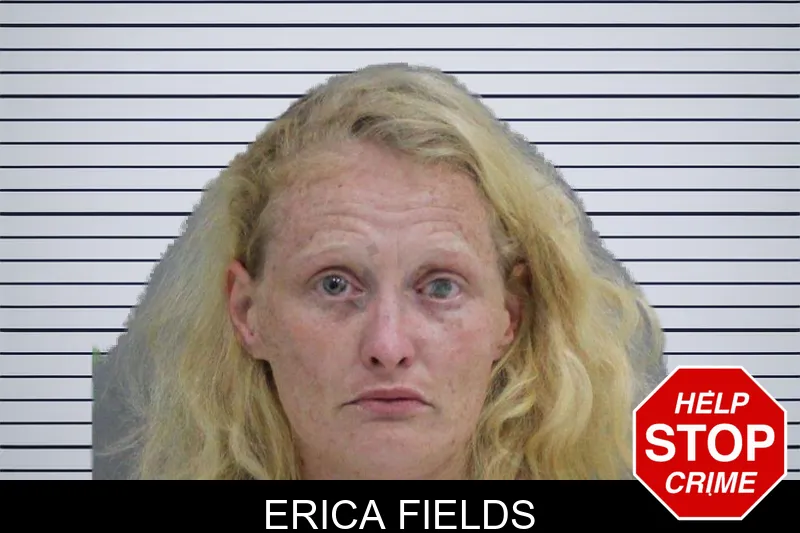Erica Fields mugshot