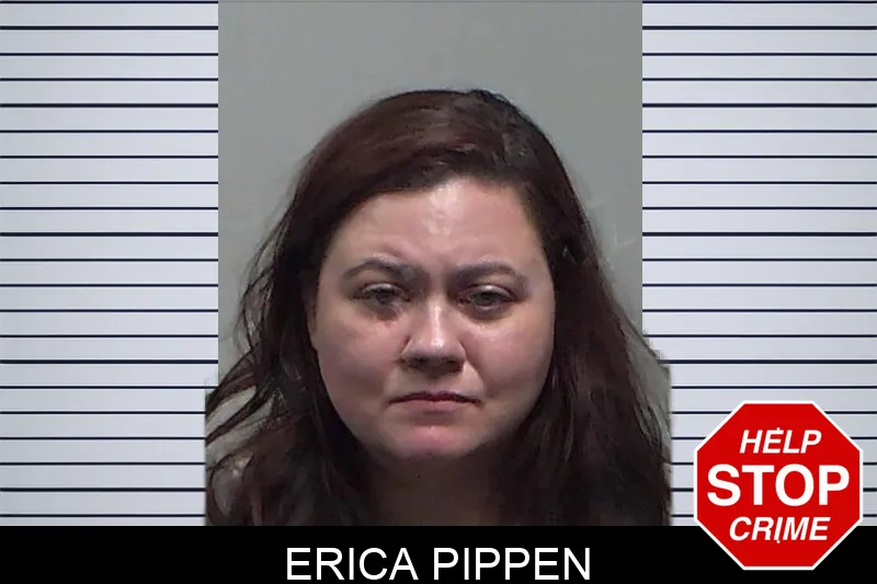 Erica Pippen mugshot – Tift County , Georgia Erica Pippen mugshot