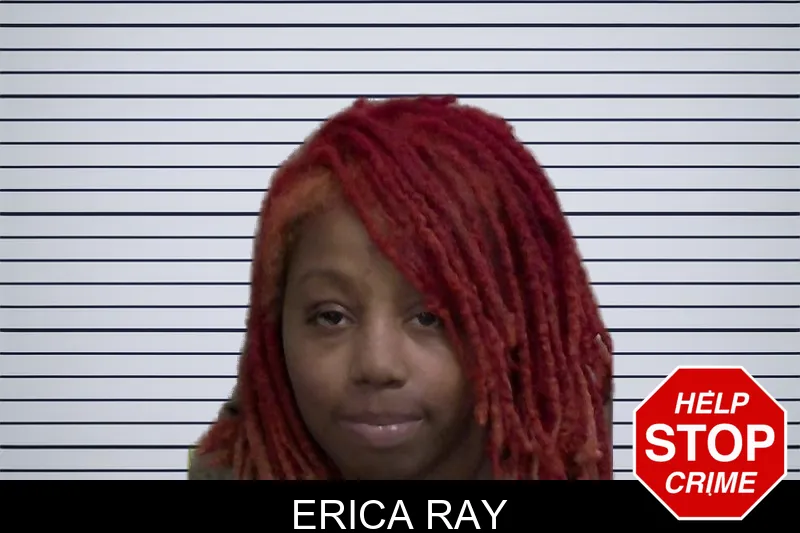 Erica Ray mugshot – Wayne County , Georgia Erica Ray mugshot