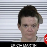 Ericia Martin mugshot – Lamar County , Georgia Ericia Martin mugshot