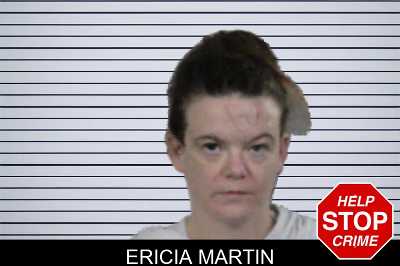Ericia Martin mugshot