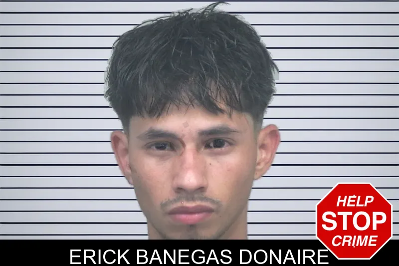 Erick Banegas Donaire mugshot – Gwinnett County , Georgia Erick Banegas Donaire mugshot