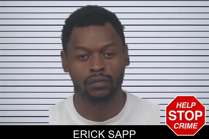Erick Sapp mugshot – Gwinnett County , Georgia Erick Sapp mugshot