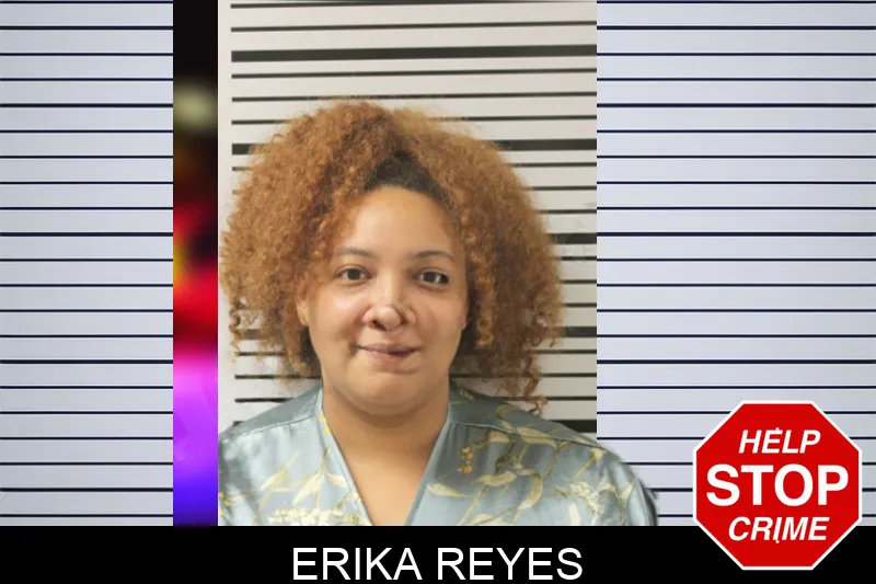 Erika Reyes mugshot