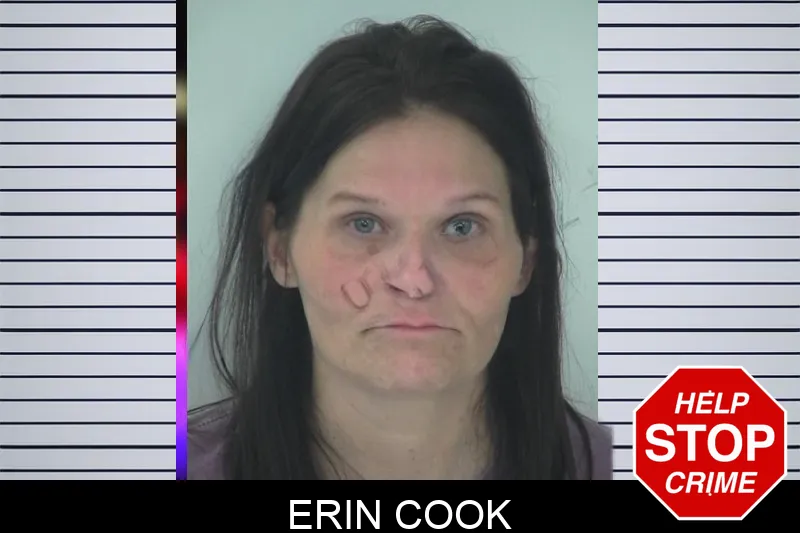 Erin Cook mugshot
