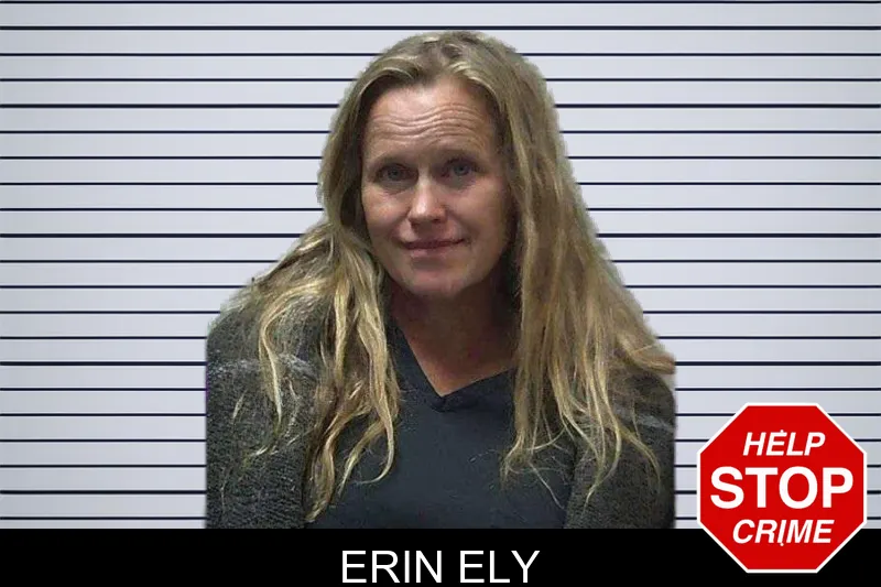 Erin Ely mugshot – Gilmer County , Georgia Erin Ely mugshot