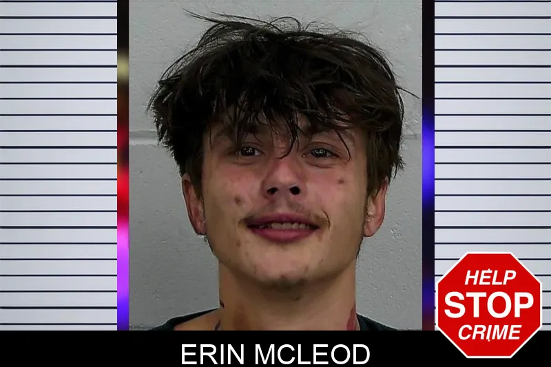 Erin McLeod mugshot – Jeff Davis County , Georgia Erin McLeod mugshot