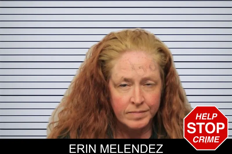 Erin Melendez mugshot