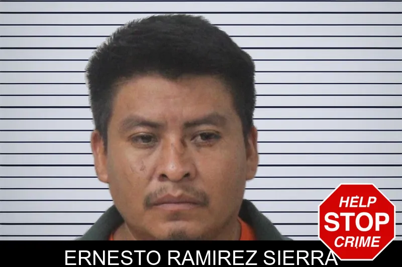 Ernesto Ramirez Sierra mugshot – Mcintosh County , Georgia Ernesto Ramirez Sierra mugshot