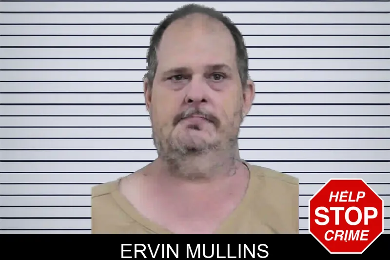 Ervin Mullins mugshot