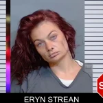 Eryn Strean mugshot – Glynn County , Georgia Eryn Strean mugshot