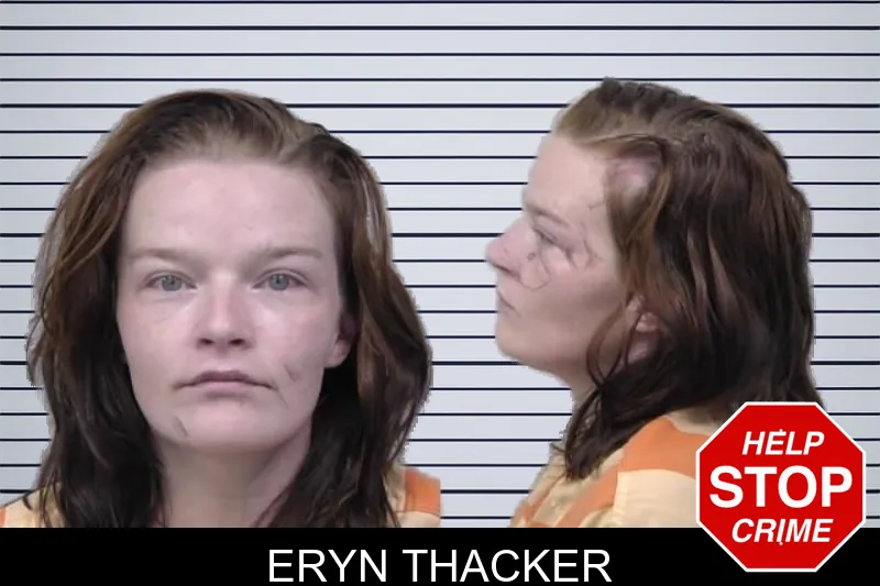 Eryn Thacker mugshot – Paulding County , Georgia Eryn Thacker mugshot