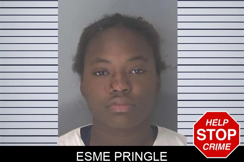 Esme Pringle mugshot – Douglas County , Georgia Esme Pringle mugshot