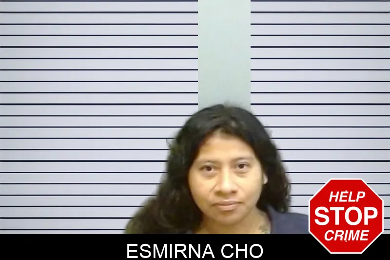 Esmirna Cho mugshot – Fulton County , Georgia Esmirna Cho mugshot