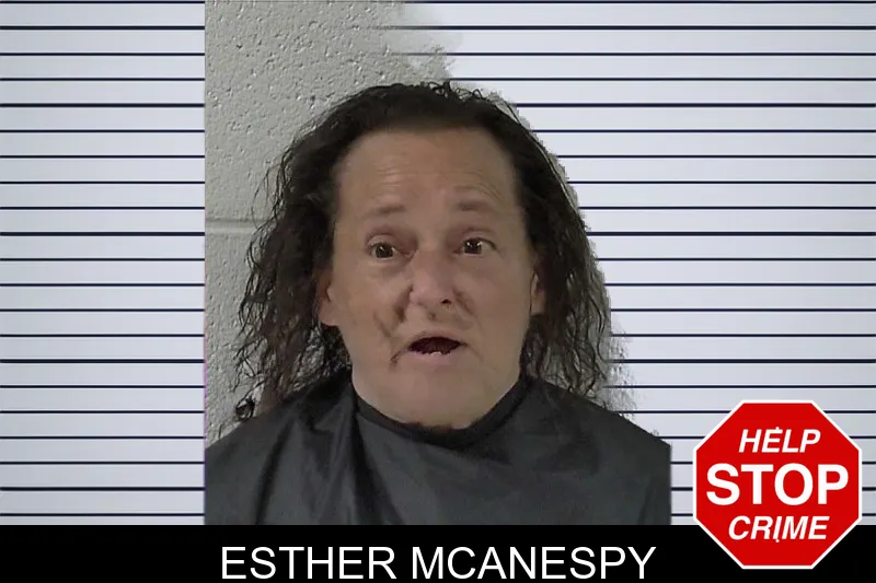 Esther McAnespy mugshot – Elbert County , Georgia Esther McAnespy mugshot
