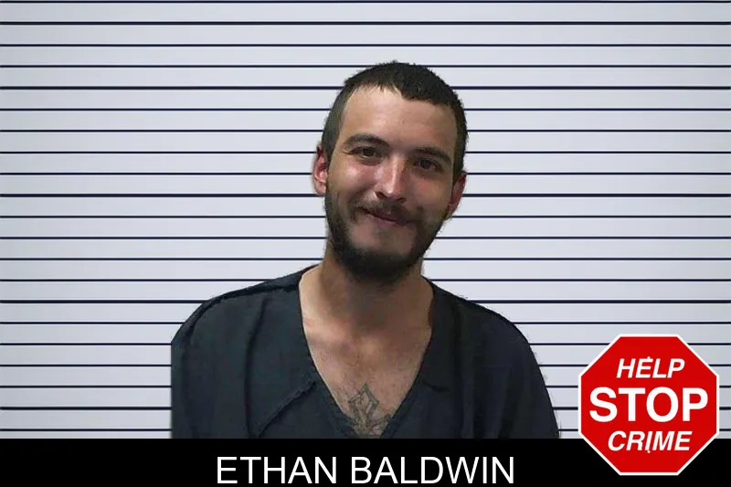Ethan Baldwin mugshot – Gilmer County , Georgia Ethan Baldwin mugshot