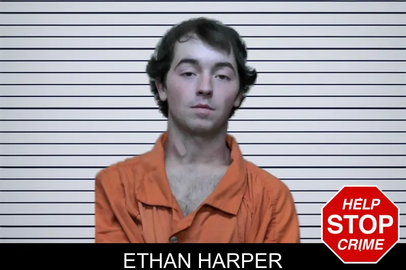 Ethan Harper mugshot – Ben Hill County , Georgia Ethan Harper mugshot