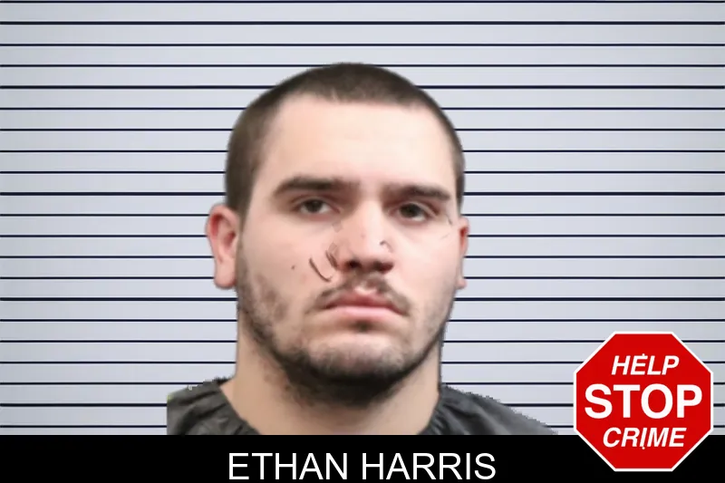 Ethan Harris mugshot – Forsyth County , Georgia Ethan Harris mugshot