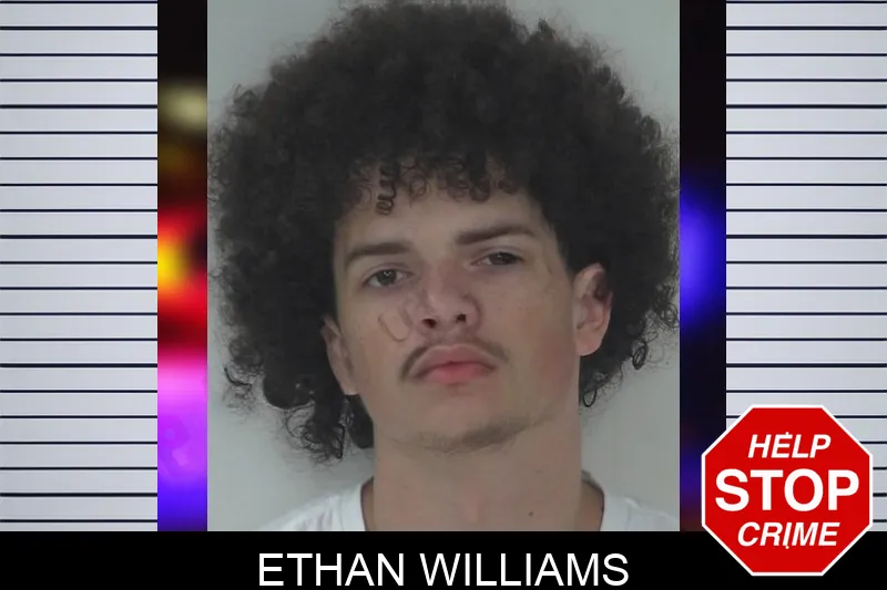 Ethan Williams mugshot – Fayette County , Georgia Ethan Williams mugshot