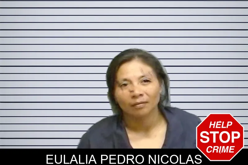 Eulalia Pedro Nicolas mugshot – Fulton County , Georgia Eulalia Pedro Nicolas mugshot