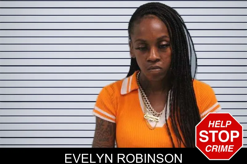 Evelyn Robinson mugshot – Grady County , Georgia Evelyn Robinson mugshot
