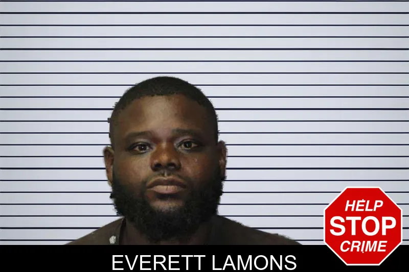 Everett Lamons mugshot