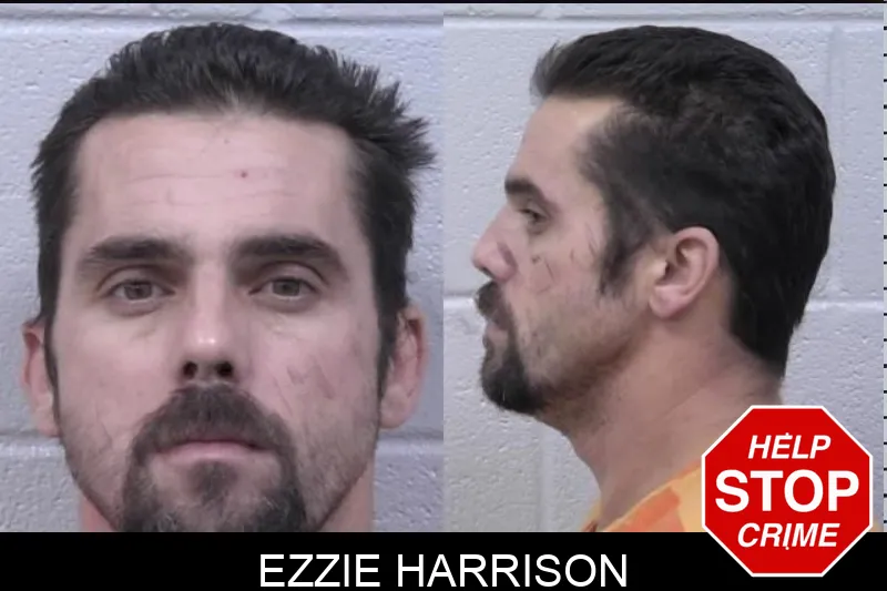 Ezzie Harrison mugshot – Paulding County , Georgia Ezzie Harrison mugshot