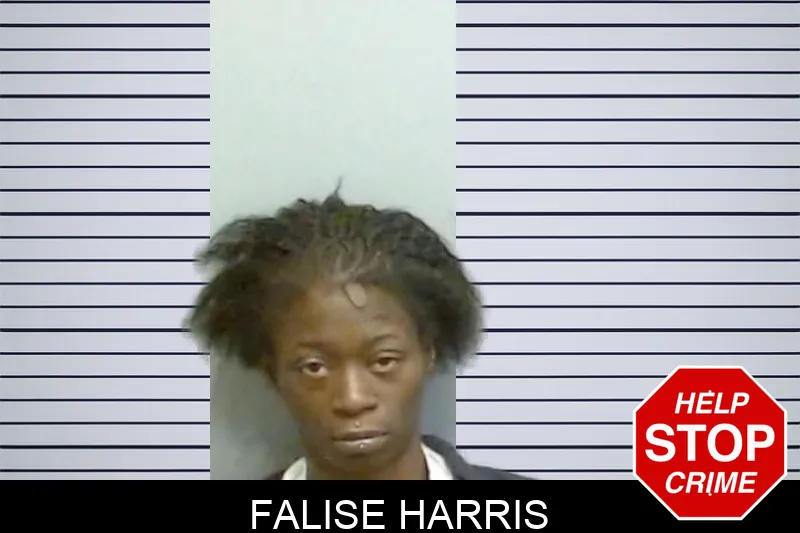 Falise Harris mugshot – Fulton County , Georgia Falise Harris mugshot