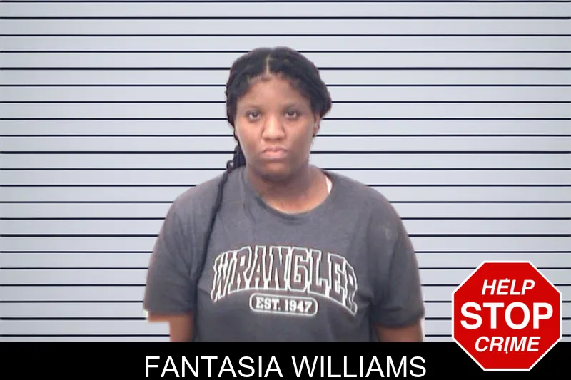 Fantasia Williams mugshot – Emanuel County , Georgia Fantasia Williams mugshot