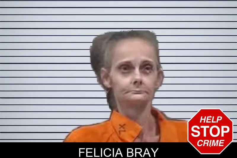Felicia Bray mugshot