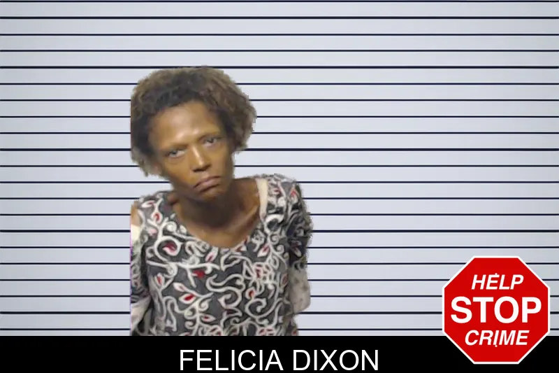 Felicia Dixon mugshot