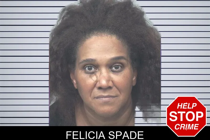 Felicia Spade mugshot – Gwinnett County , Georgia Felicia Spade mugshot
