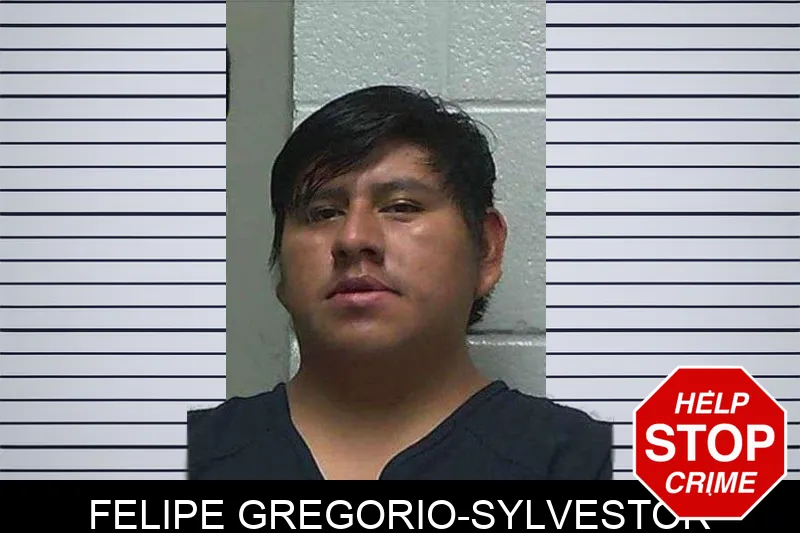 Felipe Gregorio-Sylvestor mugshot – Gilmer County , Georgia Felipe Gregorio-Sylvestor mugshot