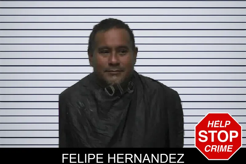 Felipe Hernandez mugshot – Pike County , Georgia Felipe Hernandez mugshot