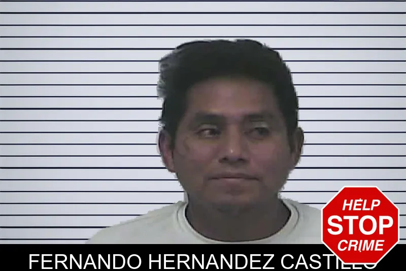 Fernando Hernandez Castillo mugshot – Dawson County , Georgia Fernando Hernandez Castillo mugshot