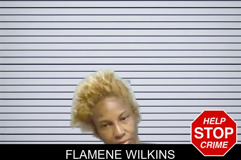 Flamene Wilkins mugshot – Fulton County , Georgia Flamene Wilkins mugshot