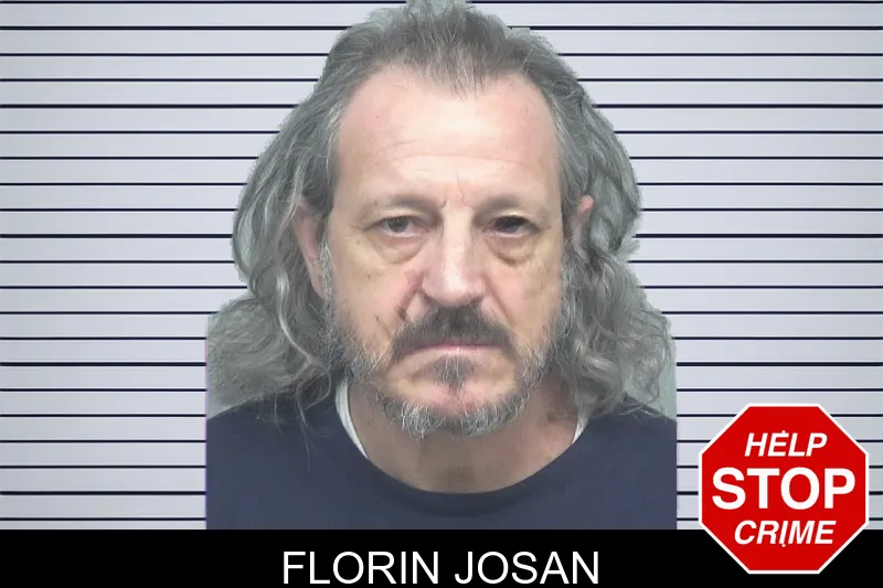 Florin Josan mugshot – Gwinnett County , Georgia Florin Josan mugshot