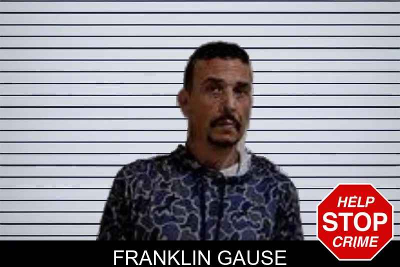 Franklin Gause mugshot – Decatur County , Georgia Franklin Gause mugshot