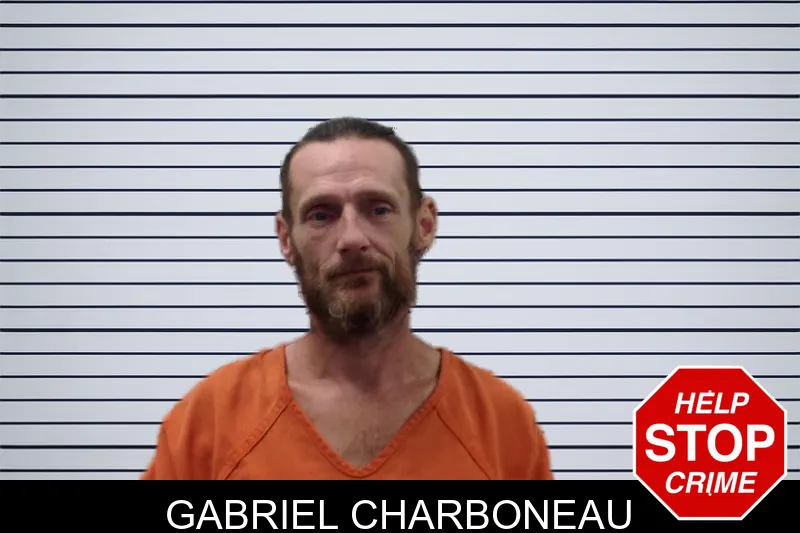 Gabriel Charboneau mugshot – Pickens County , Georgia Gabriel Charboneau mugshot