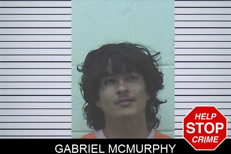 Gabriel McMurphy mugshot – Worth County , Georgia Gabriel McMurphy mugshot