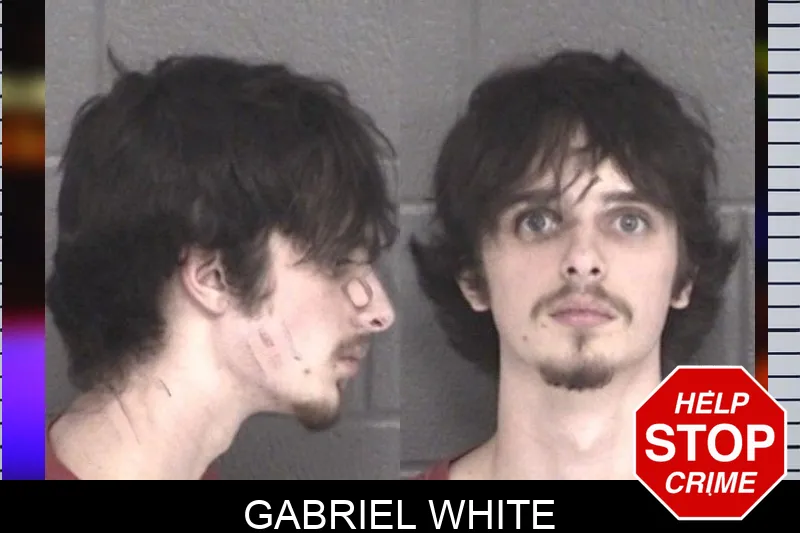Gabriel White mugshot – Barrow County , Georgia Gabriel White mugshot