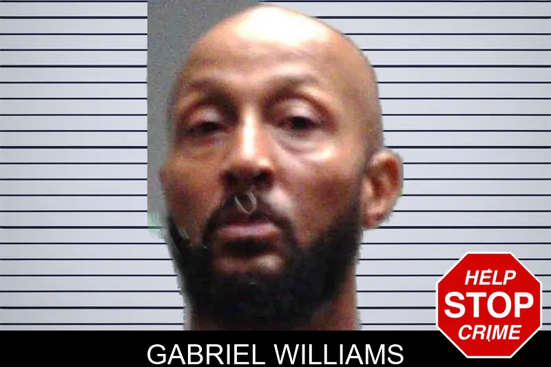 Gabriel Williams mugshot
