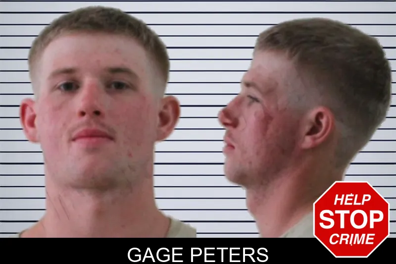 Gage Peters mugshot