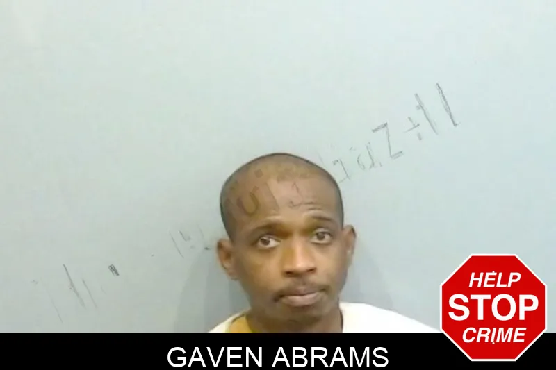 Gaven Abrams mugshot – Fulton County , Georgia Gaven Abrams mugshot