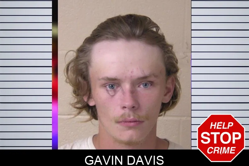 Gavin Davis mugshot
