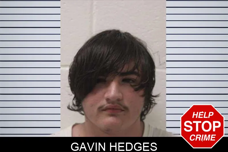 Gavin Hedges mugshot