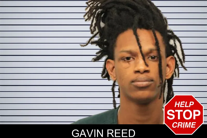 Gavin Reed mugshot – Chatham County , Georgia Gavin Reed mugshot