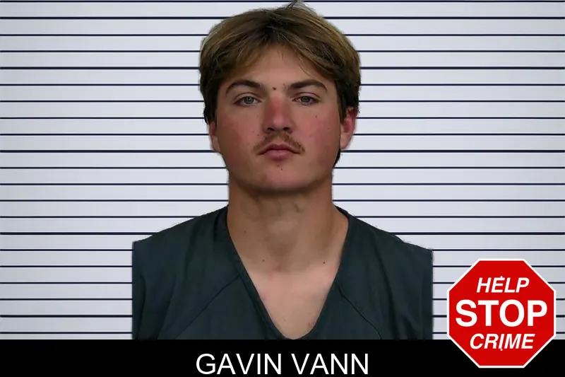 Gavin Vann mugshot – Jeff Davis County , Georgia Gavin Vann mugshot