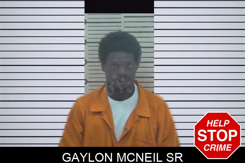 Gaylon McNeil Sr mugshot