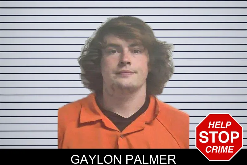 Gaylon Palmer mugshot – Colquitt County , Georgia Gaylon Palmer mugshot